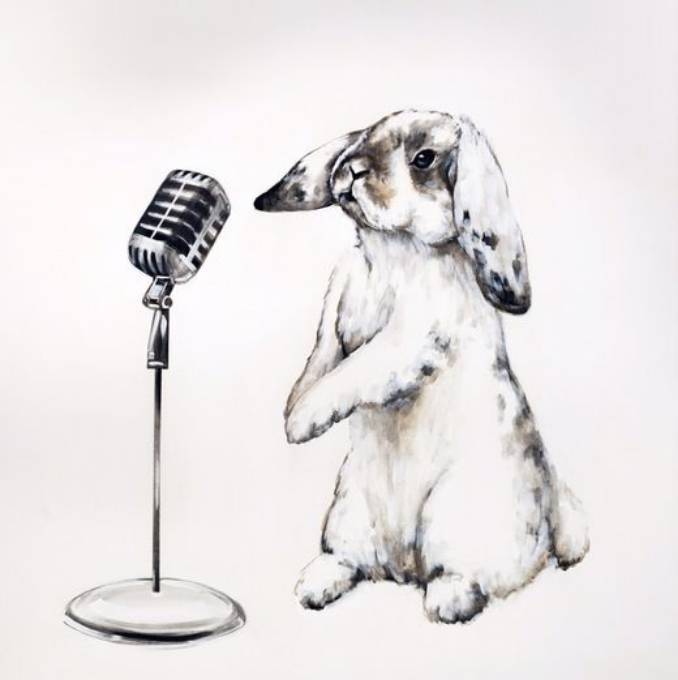 Picture of BOP TO BUNNY BEAT