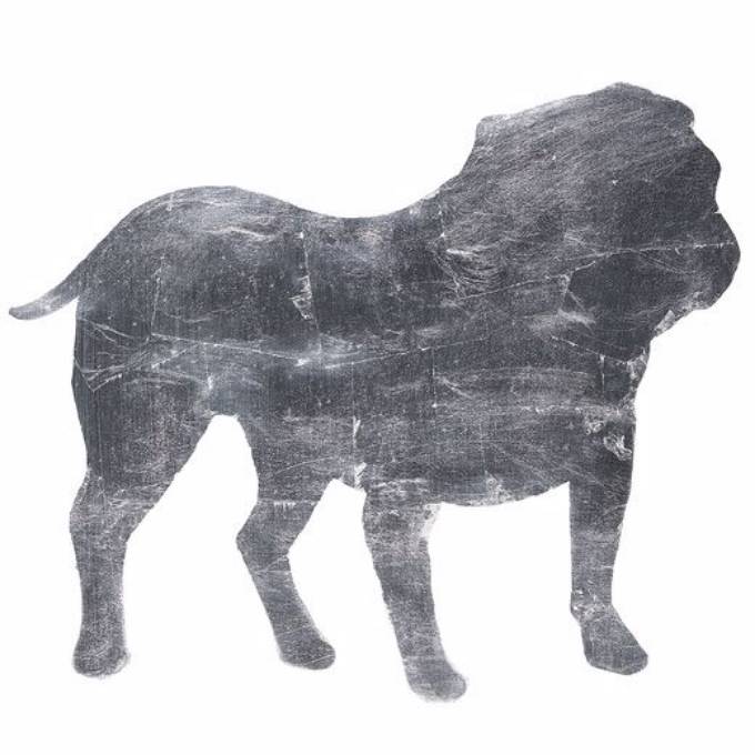 Picture of DAZZLE DOGS III
