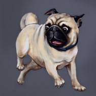 Picture of PARTY PUG