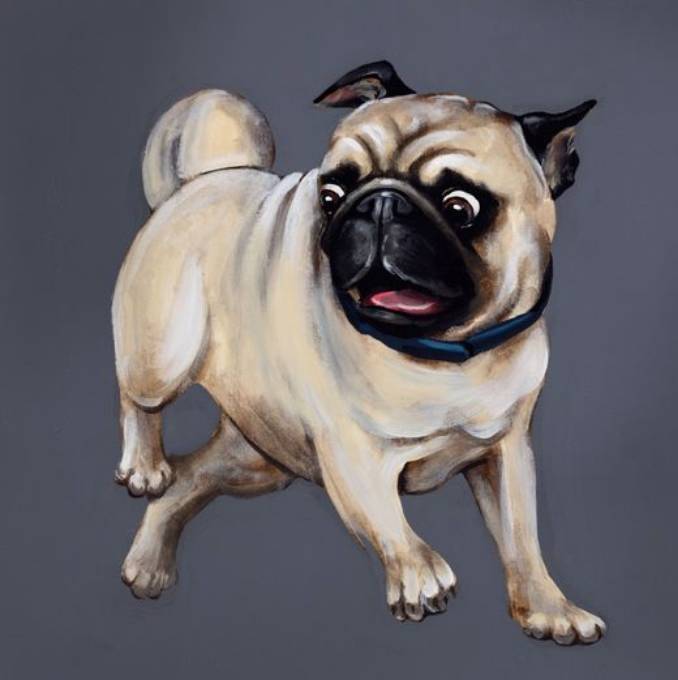 Picture of PARTY PUG