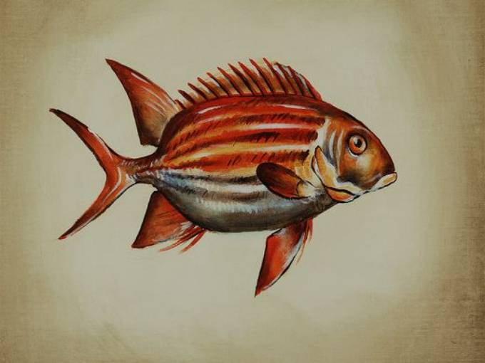 Picture of AGUA ADORNMENT III