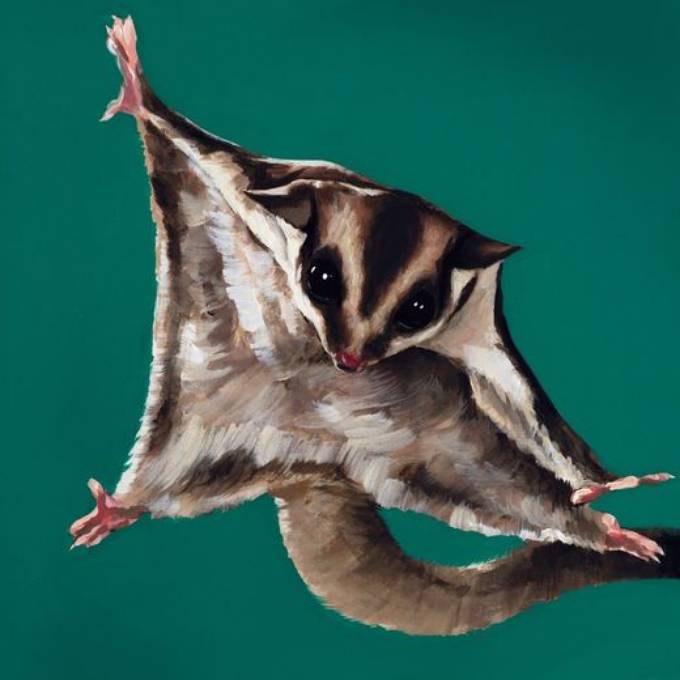 Picture of DON’T BAT AN EYE