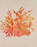 Picture of FANCY FLOATERS II