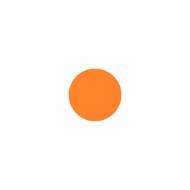 Picture of DOLLIE DOTS V