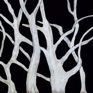 Picture of LIMBS OF IVORY