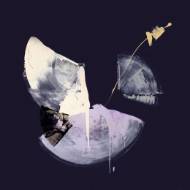 Picture of BROKEN SHELL
