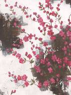 Picture of BERRIES AND CREAM I