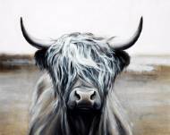 Picture of HIGHLAND BEAUTY