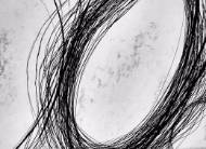 Picture of WHORL