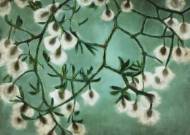Picture of BEAUTY BRISTLES