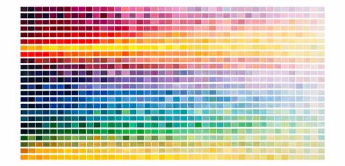 Picture of PICK YOUR PALETTE