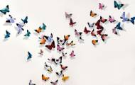 Picture of A PHOENIX OF FLUTTER