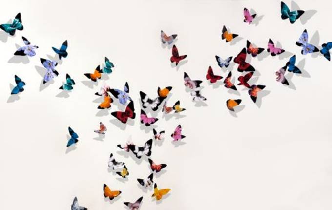 Picture of A PHOENIX OF FLUTTER