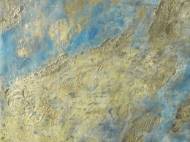 Picture of SEAGULL VISION