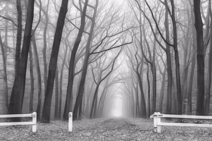Picture of OMINOUS II