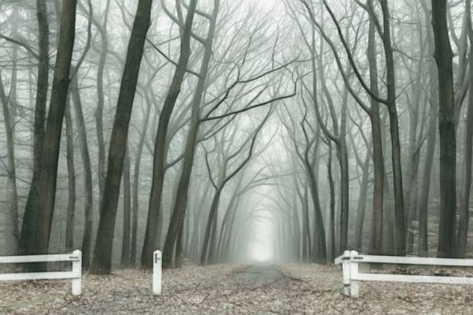 Picture of OMINOUS I
