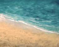 Picture of SEA COASTS