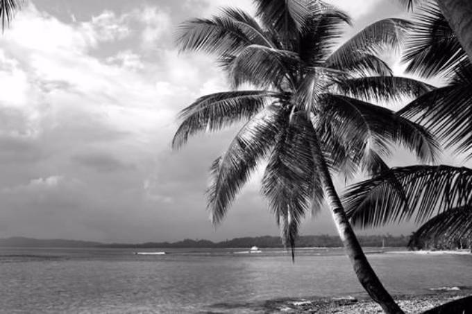 Picture of COCKTAIL ISLAND I