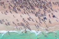 Picture of BEACH CREW III