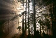 Picture of BROKEN RAYS II