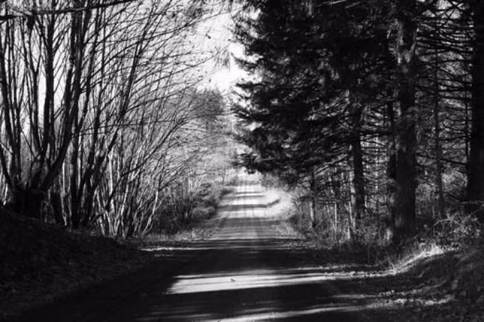 Picture of THE DRIVE TO BETSYS HOUSE