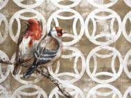 Picture of GOLDEN LOVEBIRDS