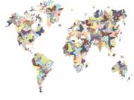 Picture of FLIGHT AROUND THE GLOBE