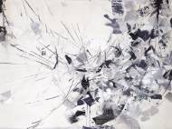 Picture of SHATTERED MIRROR