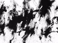 Picture of AN AGGRESSIVE CALMNESS II