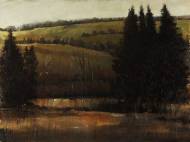 Picture of AFTER THE RAIN