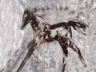 Picture of BORN WINNER