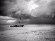 Picture of NO ONE STANDS ALONE II