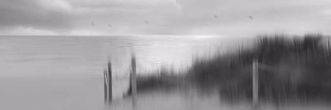 Picture of ROHOBETH MORNING II