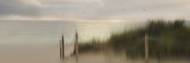 Picture of ROHOBETH MORNING I