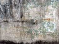 Picture of LEVEE