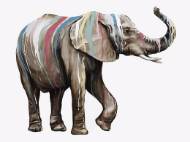 Picture of CIRCUS SURPRISE