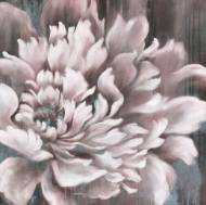 Picture of ROSEY BLUSH II