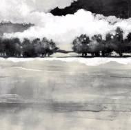 Picture of DARK SKIES V