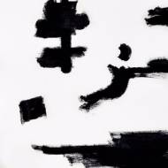 Picture of ARTIST BRAIL XVI