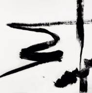 Picture of ARTIST BRAIL XI