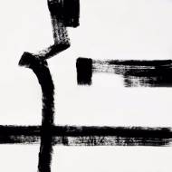 Picture of ARTIST BRAIL VIII