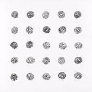 Picture of 2 DOZEN PLUS ONE VI