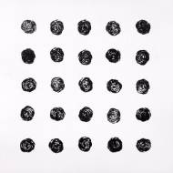 Picture of 2 DOZEN PLUS ONE IV