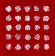 Picture of 2 DOZEN PLUS ONE III