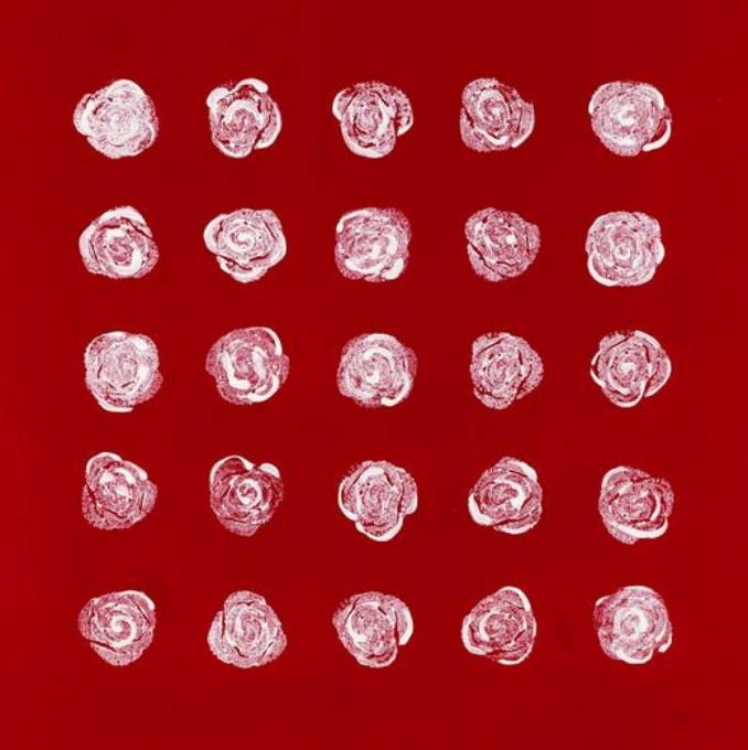 Picture of 2 DOZEN PLUS ONE III