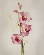 Picture of THE SMELL OF PRECIOUS II