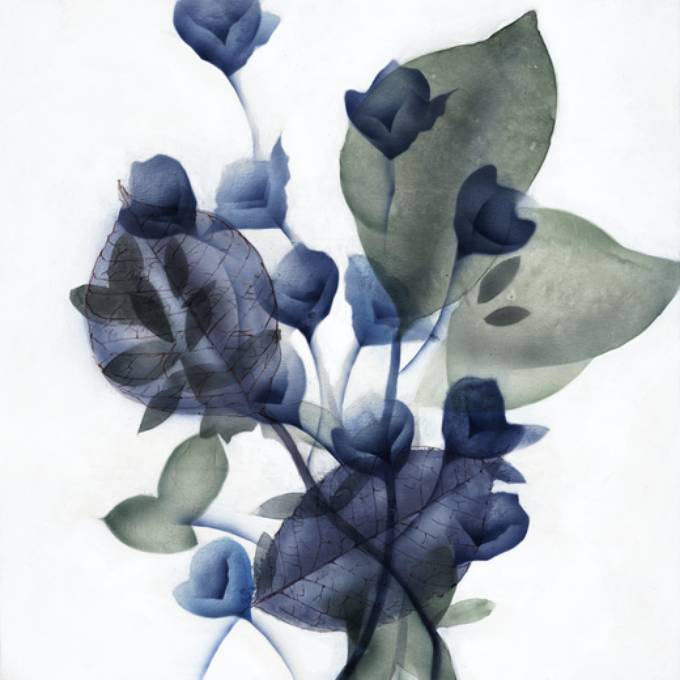 Picture of EUCALYPTUS AND SAPPHIRE I