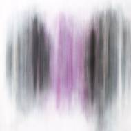 Picture of BAND OF COLORS III