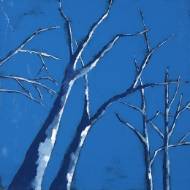 Picture of PERMAFROST