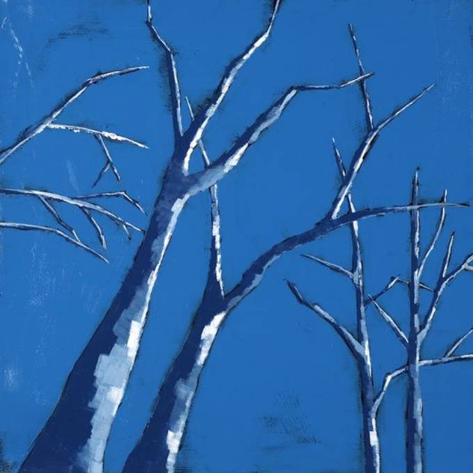 Picture of PERMAFROST